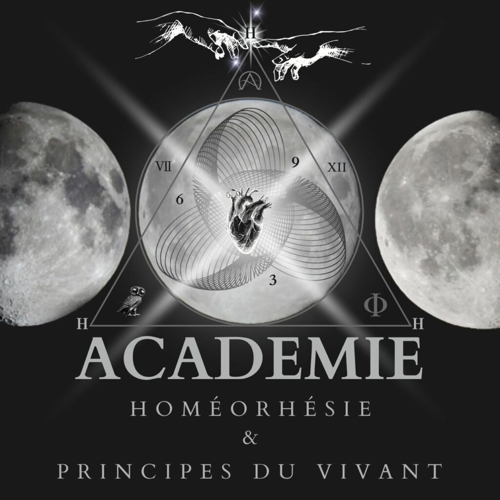 Logo homéorhésie du vivant de Pierre Etchart